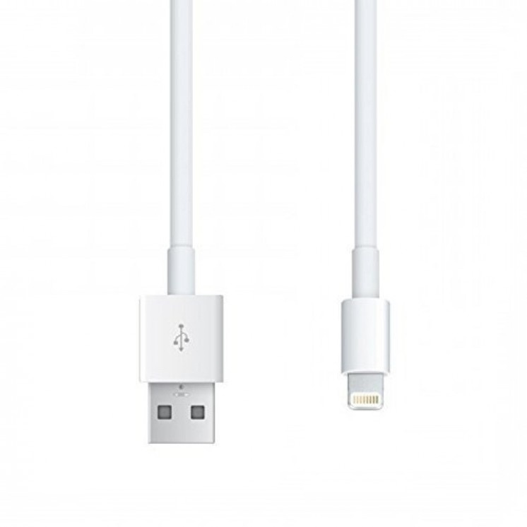 Apple original store cable